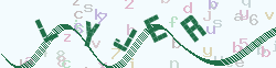 verify_code